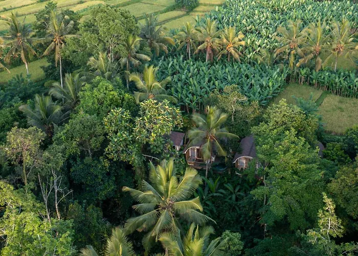 Sacred Canyon Ubud By Genuinehost *