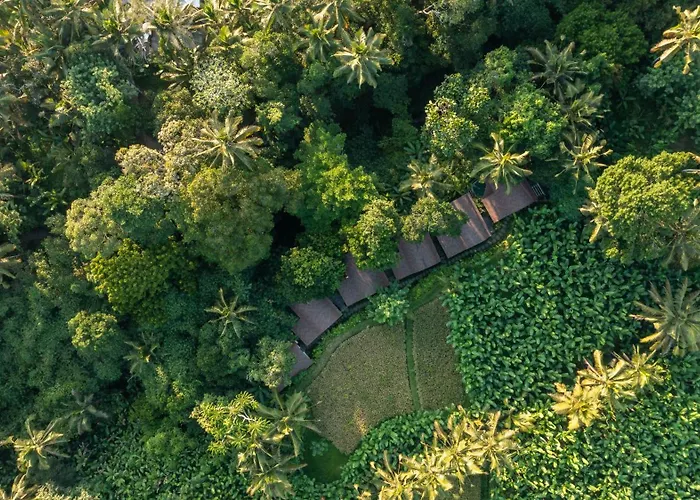 Sacred Canyon Ubud By Genuinehost * Payangan
