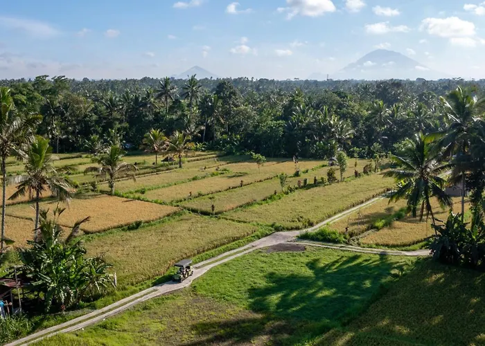 Sacred Canyon Ubud By Genuinehost *