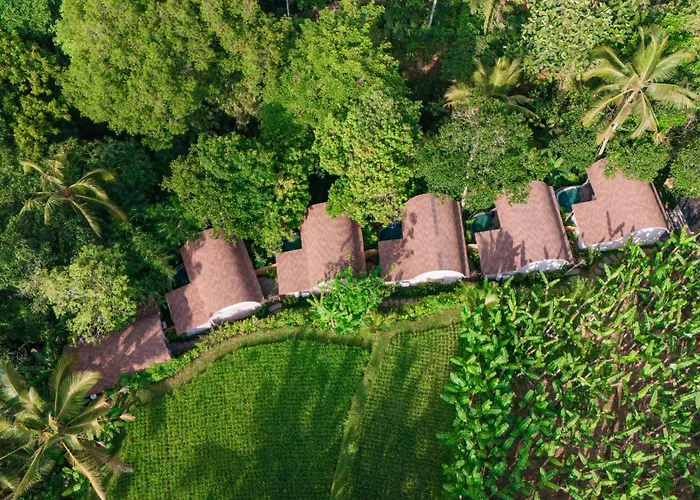 Sacred Canyon Ubud By Genuinehost